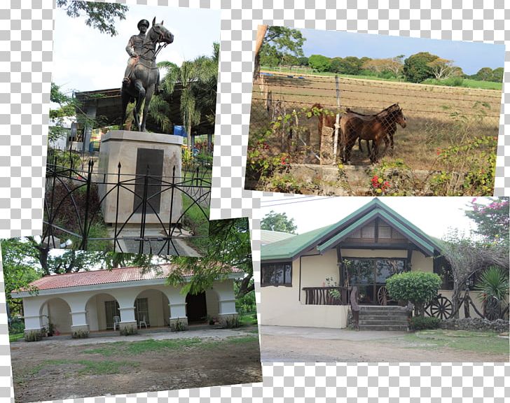 Landscape Property Tourism PNG, Clipart, Hacienda, Home, House, Landscape, Nipa Hut Free PNG Download