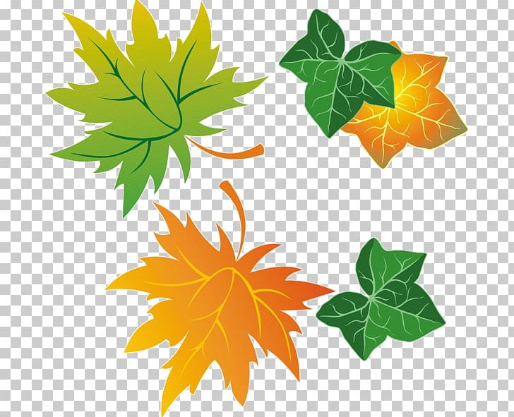 Maple Leaf PNG, Clipart, Computer, Download, Flowering Plant, Information, Leaf Free PNG Download