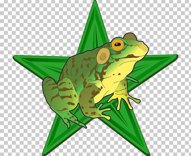True Frog Amphibian Vertebrate Edible Frog PNG, Clipart, American Bullfrog, Amphibian, Animal, Animal Figure, Animals Free PNG Download