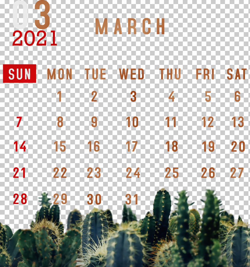 Cactus PNG, Clipart, 2021 Calendar, Aesthetics, Barrel Cactus, Cactus, Cactus Garden Free PNG Download