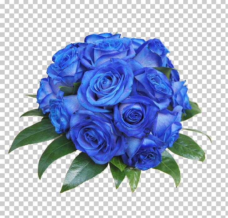 Blue Rose Garden Roses Centifolia Roses Cut Flowers PNG, Clipart, Blue, Blue Flower, Centifolia Roses, Cobalt Blue, Color Free PNG Download