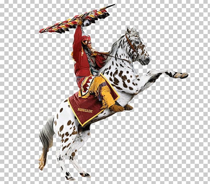 Florida State University Florida State Seminoles Men's Basketball Osceola County PNG, Clipart,  Free PNG Download