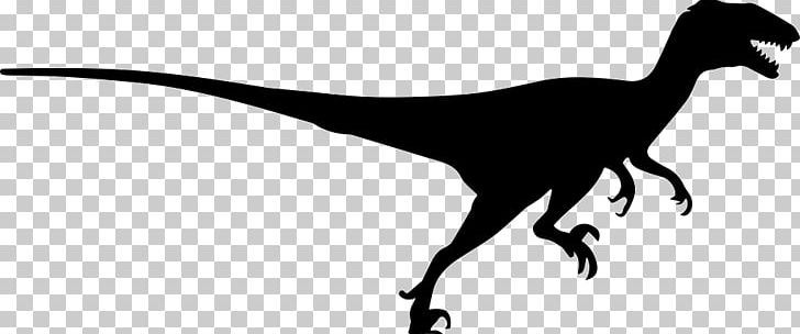 Velociraptor Deinonychus Tyrannosaurus Centrosaurus Dinosaur PNG, Clipart, Beak, Black And White, Centrosaurus, Computer Icons, Deinonychus Free PNG Download
