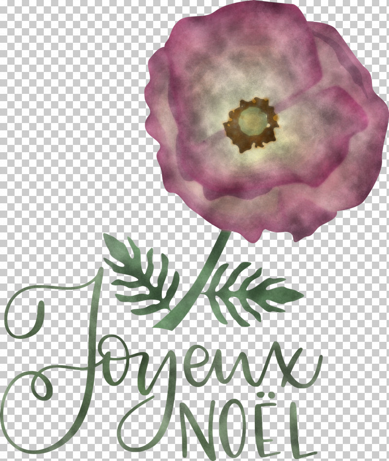 Noel Nativity Xmas PNG, Clipart, Biology, Christmas, Cut Flowers, Flower, Herbaceous Plant Free PNG Download
