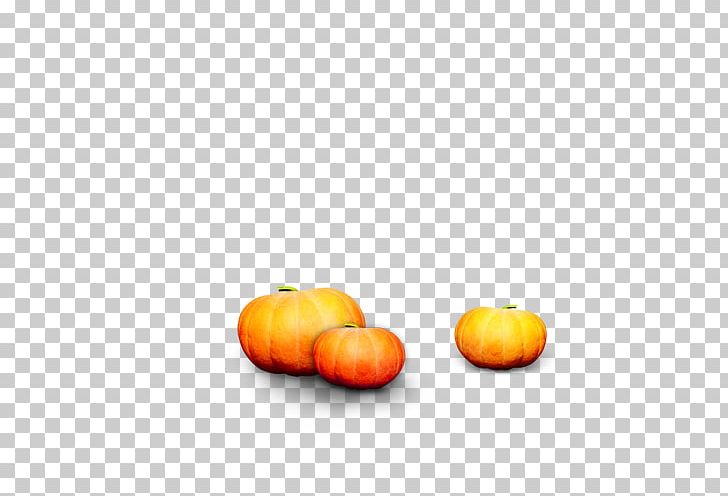 Calabaza Gourd Pumpkin Winter Squash PNG, Clipart, Calabaza, Computer Wallpaper, Cucurbita, Download, Element Free PNG Download