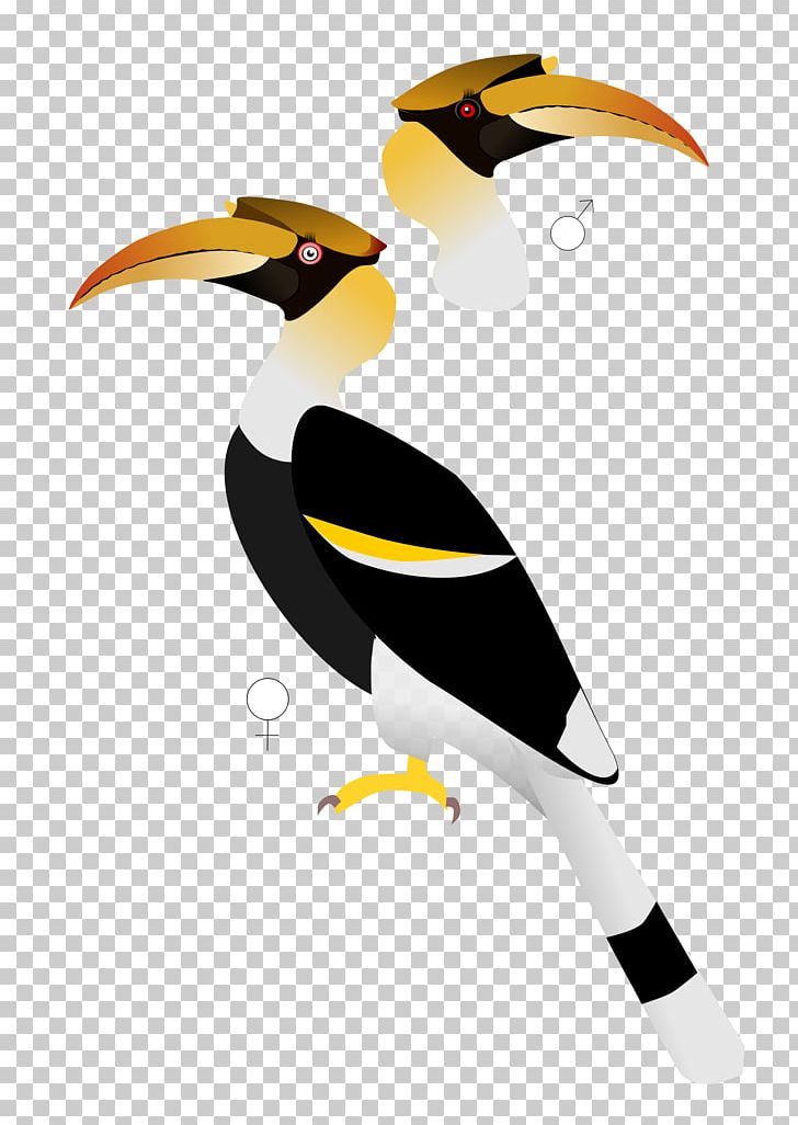 Indian Roller Bird Parrot Great Hornbill PNG, Clipart, African Grey Hornbill, Animal, Beak, Bird, Flightless Bird Free PNG Download