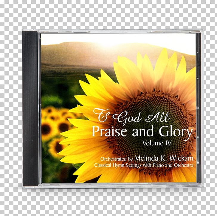 Praise God Glory Hymn Institute In Basic Life Principles PNG, Clipart, Daisy Family, Flower, Flowering Plant, Glory, God Free PNG Download