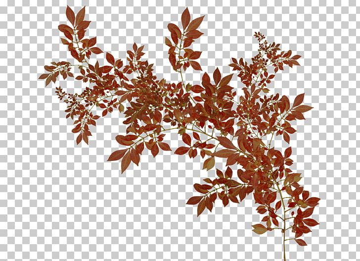 Albom Leaf Autumn PNG, Clipart, Albom, Autumn, Blog, Branch, Diary Free PNG Download