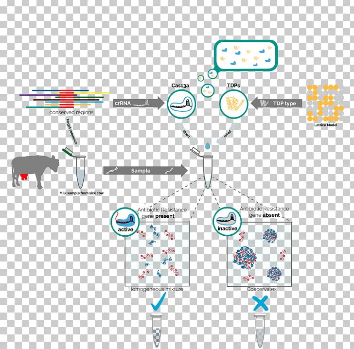 Antimicrobial Resistance Bacteria Antibiotics Drug Resistance Intrinsically Disordered Proteins PNG, Clipart, Angle, Antibiotics, Antimicrobial Resistance, Area, Bacteria Free PNG Download