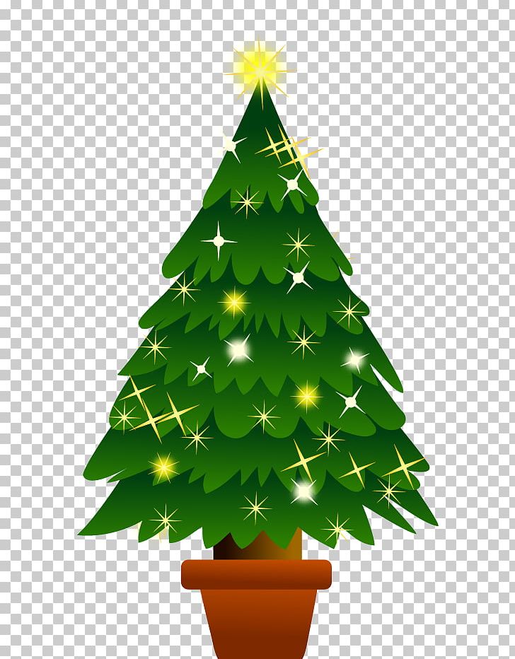 Christmas Tree Abies Firma PNG, Clipart, Abies Firma, Branch, Christmas, Christmas Decoration, Christmas Ornament Free PNG Download