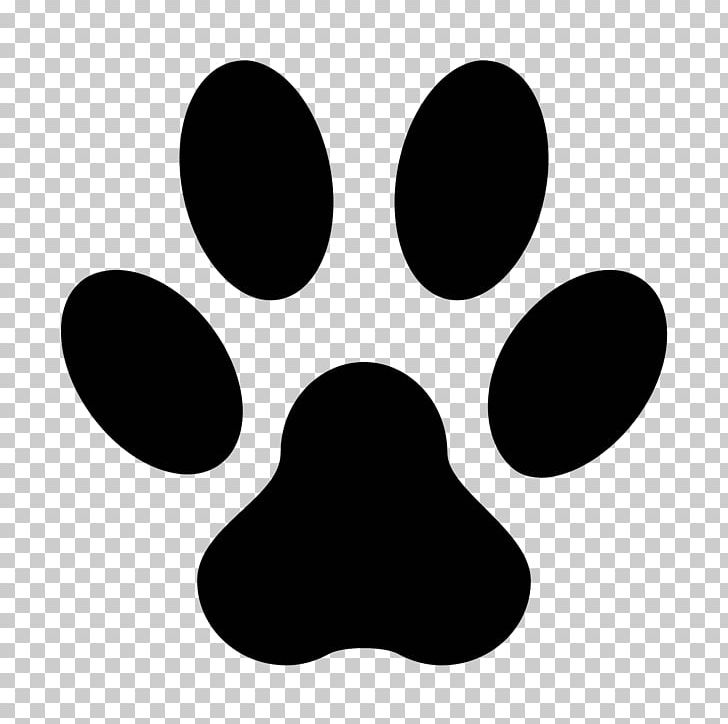 Dog Cat Puppy Animal Shelter Pet PNG, Clipart, Animal, Animal Control And Welfare Service, Animal Euthanasia, Animal Loss, Animal Rescue Group Free PNG Download