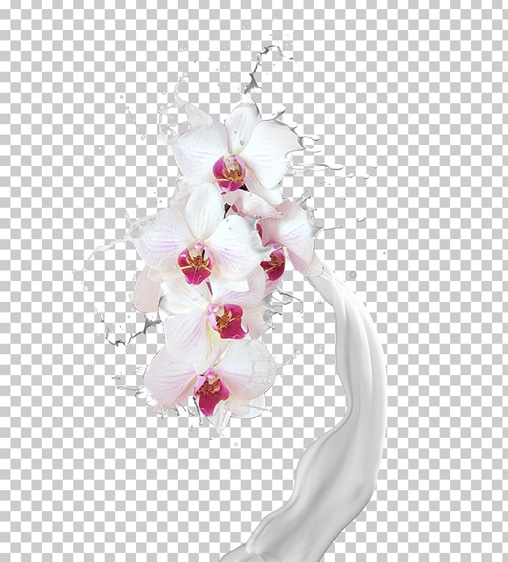 Floral Design Moth Orchids Cut Flowers Flower Bouquet Artificial Flower PNG, Clipart, Blossom, Color Splash, Cows Milk, Decorative Patterns, Floristry Free PNG Download