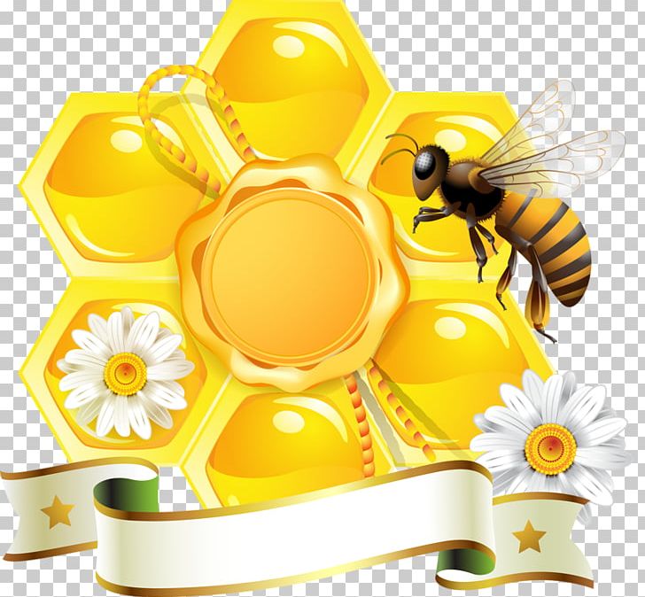 Honey Bee Graphics Honeycomb PNG, Clipart, Bee, Beehive, Bee Pollen, Flower, Food Free PNG Download