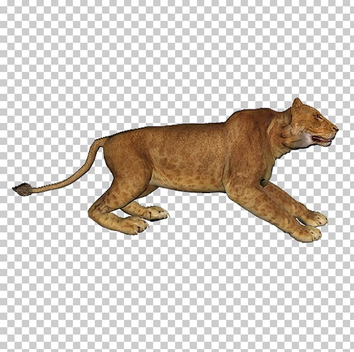 Lion Encapsulated PostScript PNG, Clipart, Animal, Animal Figure, Animals, Big Cat, Big Cats Free PNG Download