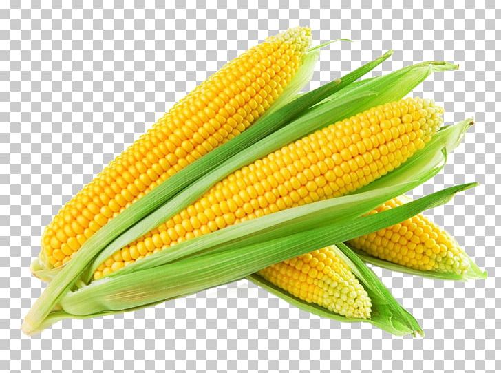 Sweet Corn Maize Corn Kernel Cereal Grain PNG, Clipart, Baby Corn, Cereal, Cob, Commodity, Corncob Free PNG Download