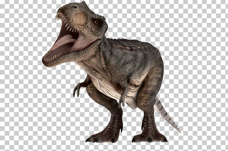 Tyrannosaurus Velociraptor Dinosaur Parque Shopping Barueri PNG, Clipart, Animal, Barueri, Dinosaur, Dinossauro, Extinction Free PNG Download