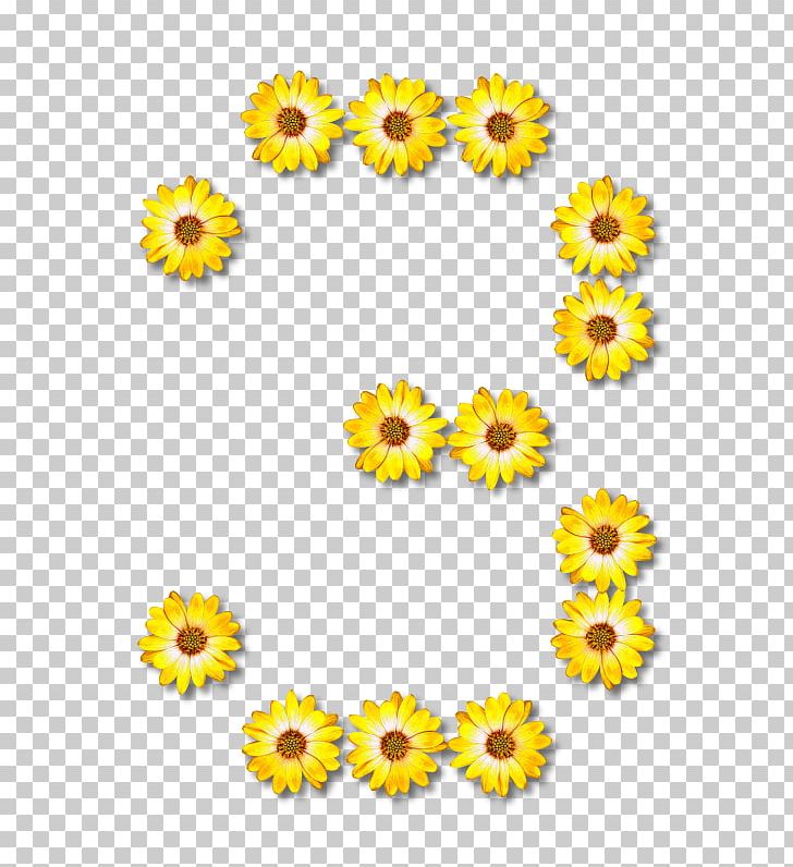 Alphabet Letter Common Sunflower PNG, Clipart, Alphabet, Calendula, Chrysanths, Clip Art, Common Sunflower Free PNG Download