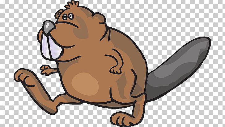 American Beaver PNG, Clipart, Beaver, Beaver Dam, Benny Beaver, Carnivoran, Cartoon Free PNG Download