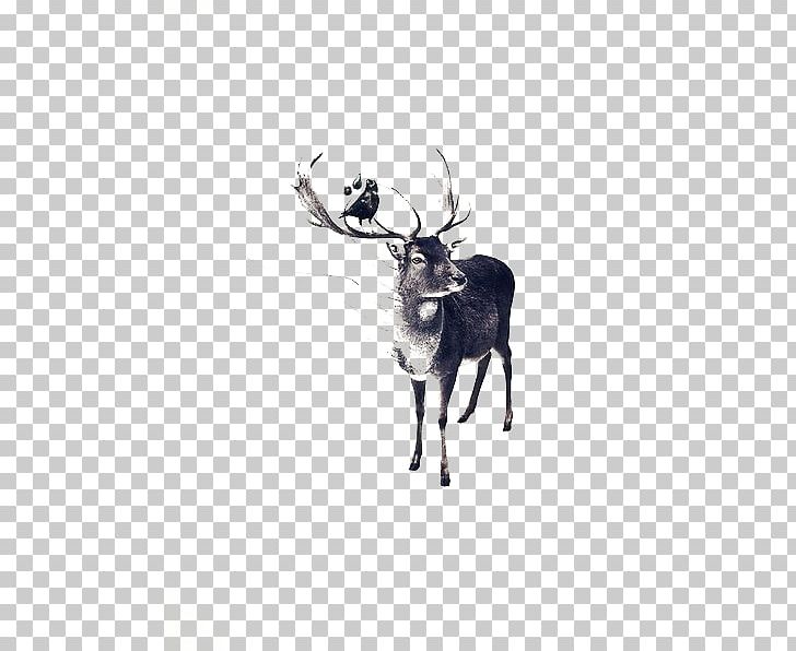 Reindeer Drawing Illustration PNG, Clipart, Animals, Antler, Art, Artist, Black Free PNG Download