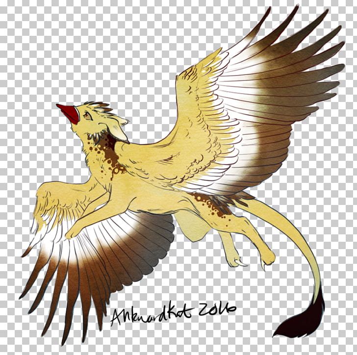 Vulture Eagle Beak Feather PNG, Clipart, Animals, Astrid, Beak, Bird, Bird Of Prey Free PNG Download