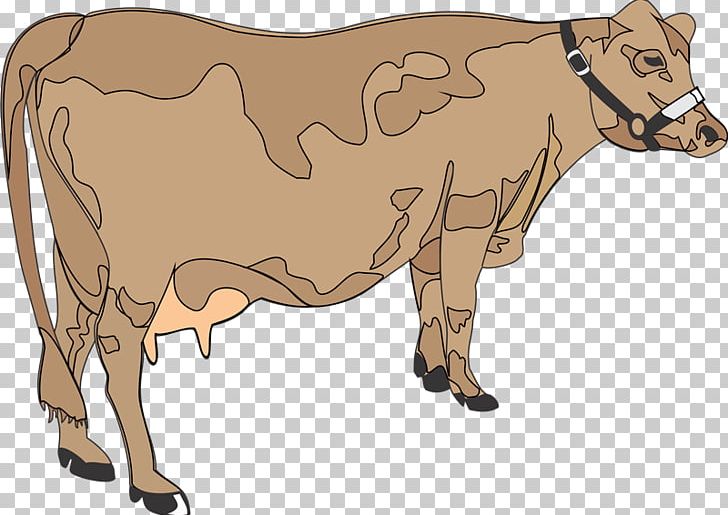Dairy Cattle Ox Taurine Cattle Bull PNG, Clipart, Animaatio, Animal, Animal Figure, Blog, Bovini Free PNG Download