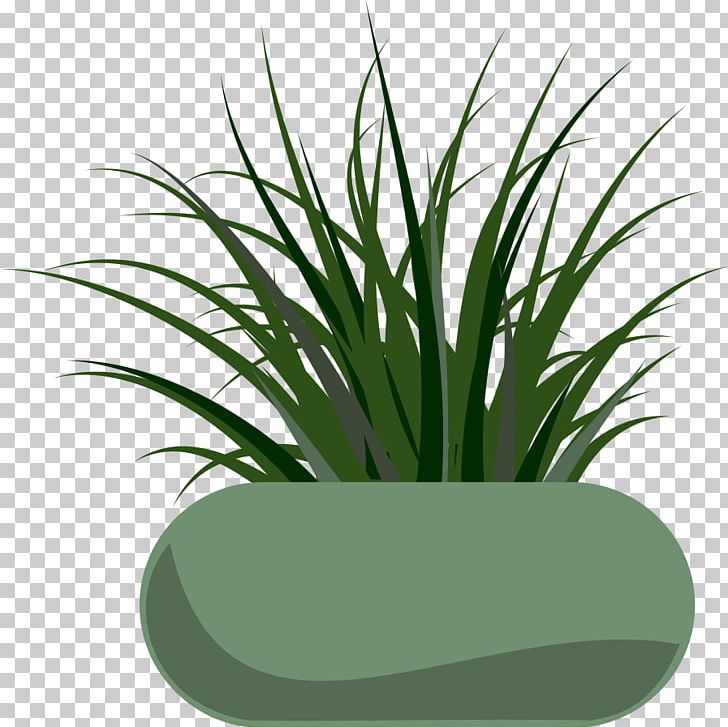 Free Content Copyright PNG, Clipart, Animated Grass Cliparts, Computer, Copyright, Download, Flower Free PNG Download