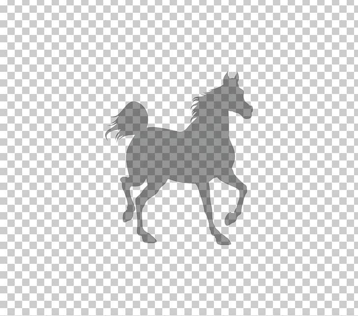 Shire Horse Black PNG, Clipart, Animals, Black And White, Canter And Gallop, City Silhouette, Encapsulated Postscript Free PNG Download