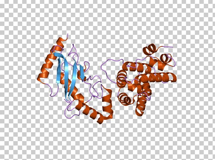 UBE2I Ubiquitin-conjugating Enzyme RANGAP1 Gene PNG, Clipart, Addition, Arsenic, Crystal, Enzyme, Gene Free PNG Download