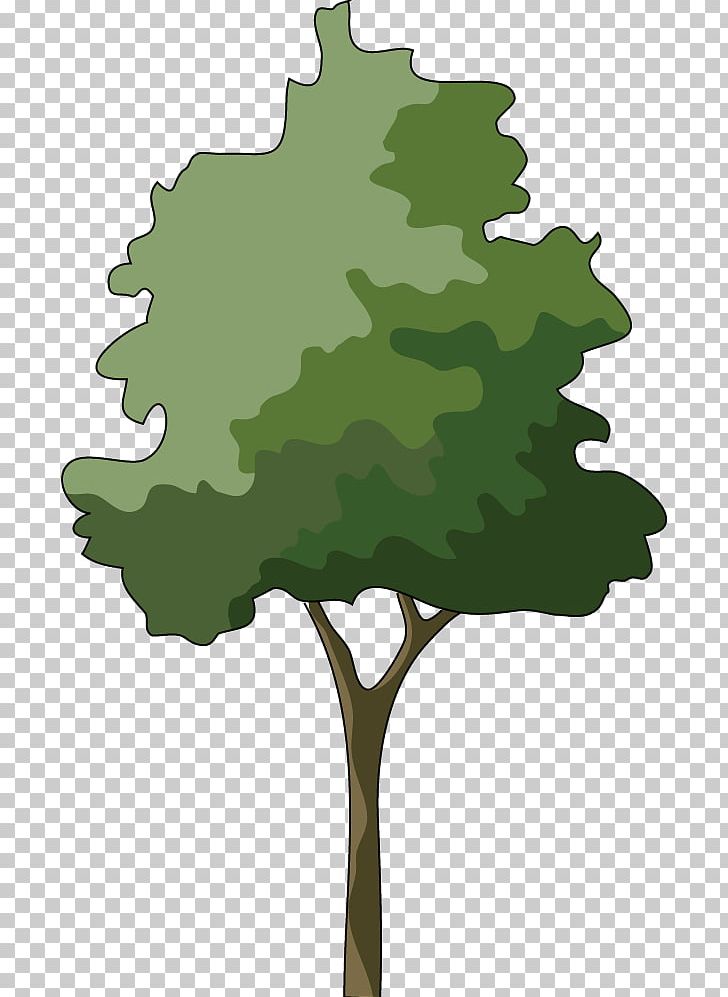 Branch Japanese Maple Tree PNG, Clipart, Bonsai, Branch, Clip Art, Flora, Grass Free PNG Download