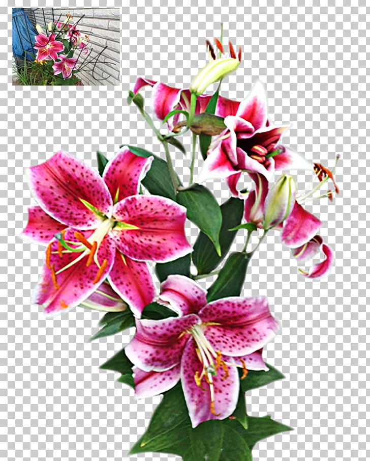 Cut Flowers Stock Floral Design Floristry PNG, Clipart, Alstroemeriaceae, Annual Plant, Credit, Cut Flowers, Floral Design Free PNG Download