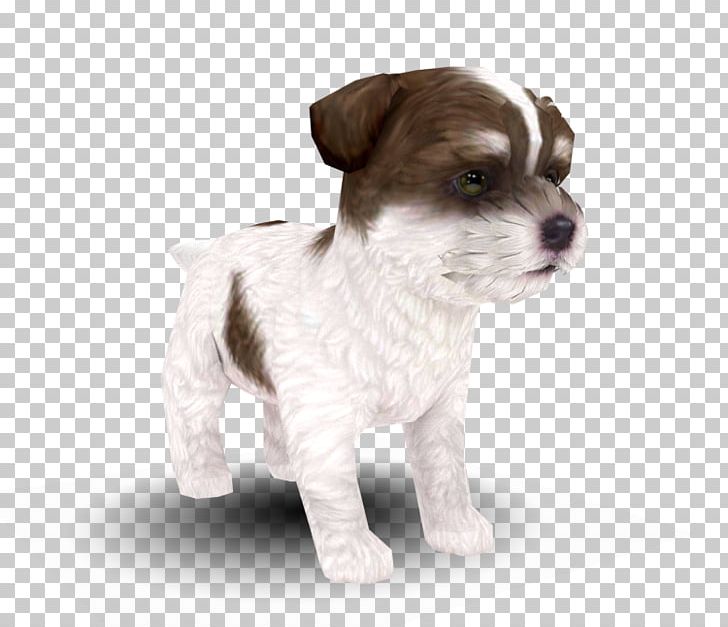 Dog Breed Puppy Nintendogs + Cats Maltese Dog Companion Dog PNG, Clipart, Animals, Breed, Breed Group Dog, Carnivoran, Cat Free PNG Download