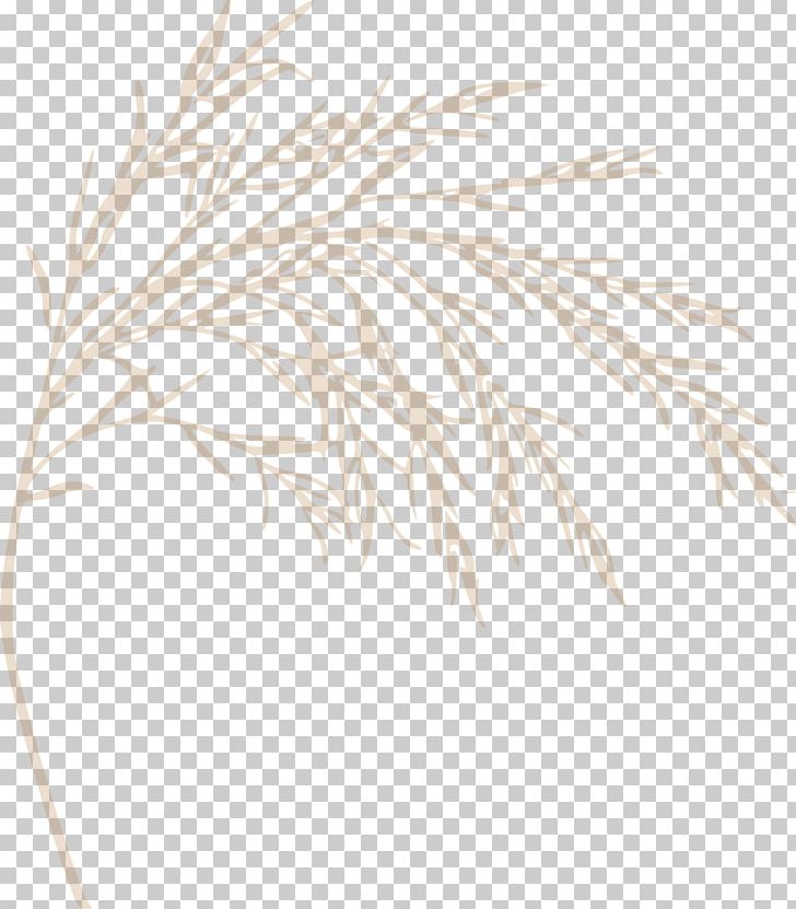 Grasses Line Commodity White Family PNG, Clipart, Art, Black And White, Branch, Commodity, Family Free PNG Download