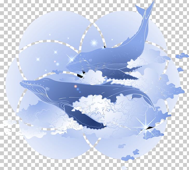 Humpback Whale Blue Whale PNG, Clipart, Animals, Aquatic Animal, Beautiful, Beluga Whale, Blue Free PNG Download
