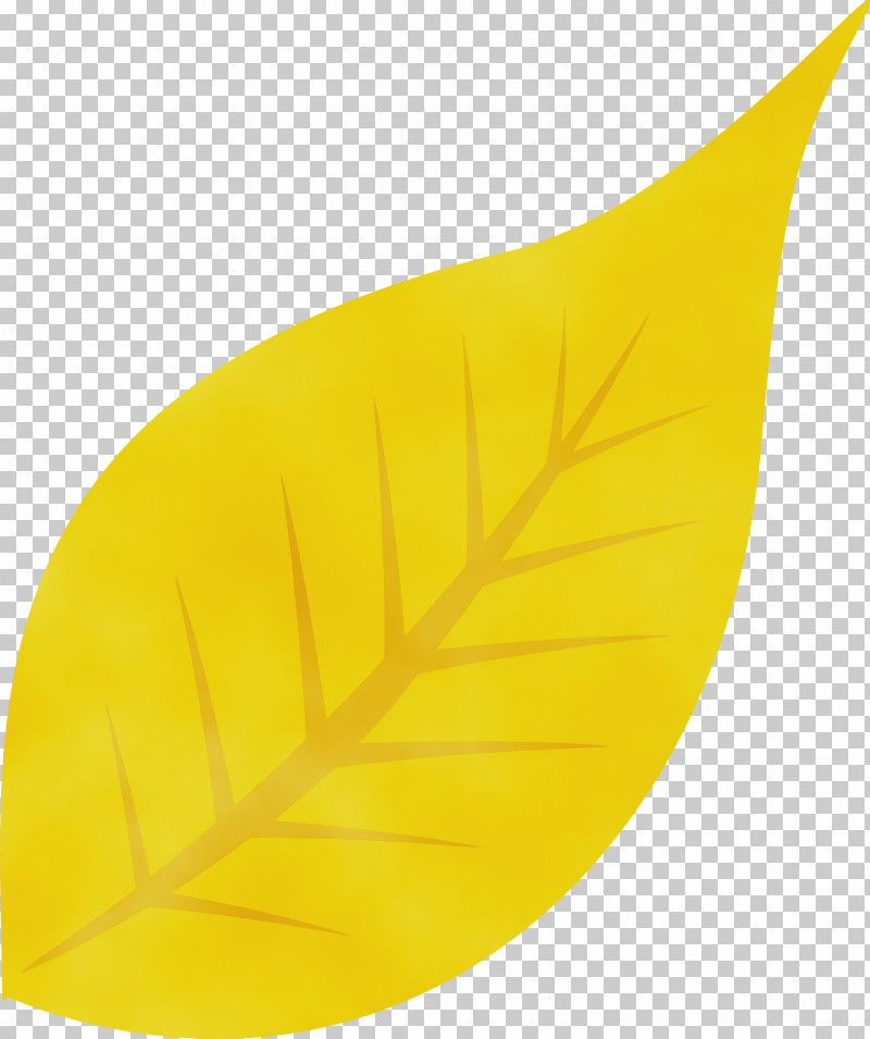 Leaf Yellow Science Plant Structure Biology PNG, Clipart, Autumn Leaf, Biology, Fall Leaf, Leaf, Paint Free PNG Download
