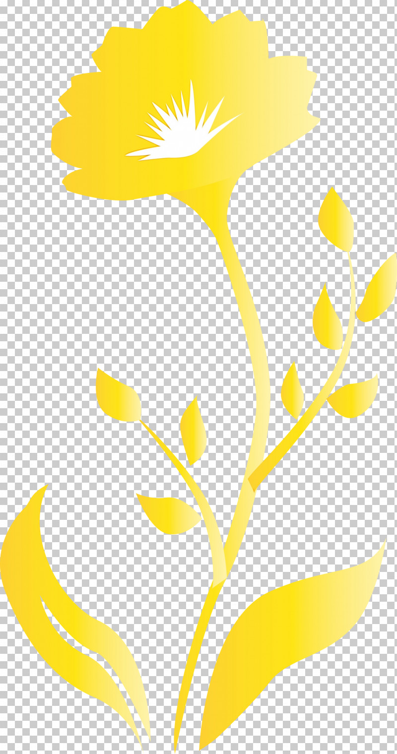 Yellow Pedicel Plant Flower PNG, Clipart, Decor Frame, Flower, Paint, Pedicel, Plant Free PNG Download