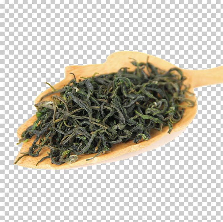 Green Tea Biluochun Nilgiri Tea Bancha PNG, Clipart, Bai Mudan, Ceylon Tea, Da Hong Pao, Darjeeling, Free Stock Png Free PNG Download