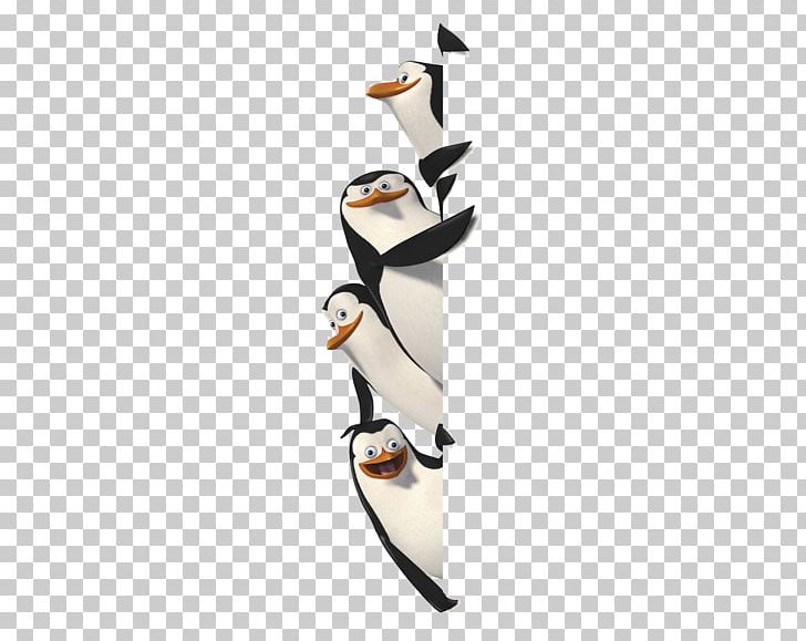 Madagascar Film Animation PNG, Clipart, Adventure Film, Animation, Beak, Bird, Comedy Free PNG Download