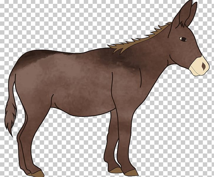 Mule T-shirt Pony Donkey PNG