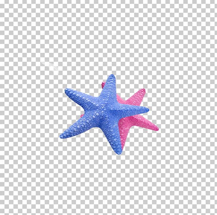 Starfish Callopatiria Granifera Icon PNG, Clipart, Blue, Callopatiria Granifera, Cartoon Elements, Computer Icons, Creative Childrens Day Free PNG Download