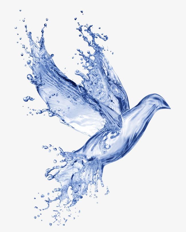 Free Water Effects Dove Pull PNG, Clipart, Asuka, Bird, Creative, Creative Pigeons, Dove Clipart Free PNG Download