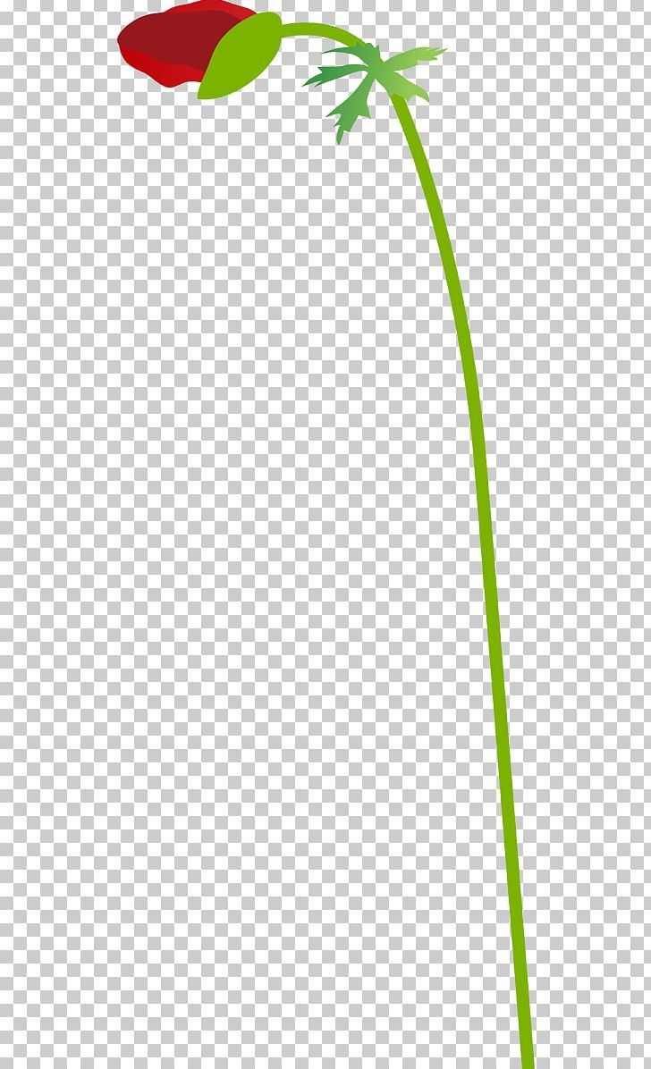 Green Grasses Plant Stem Leaf PNG, Clipart, Branch, Cicek, Cicek Resimleri, Flora, Flower Free PNG Download