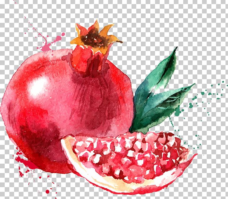 Watercolor Painting Fruit Drawing PNG, Clipart, Accessory Fruit, Art, Berry, Cartoon, Cranberry Free PNG Download