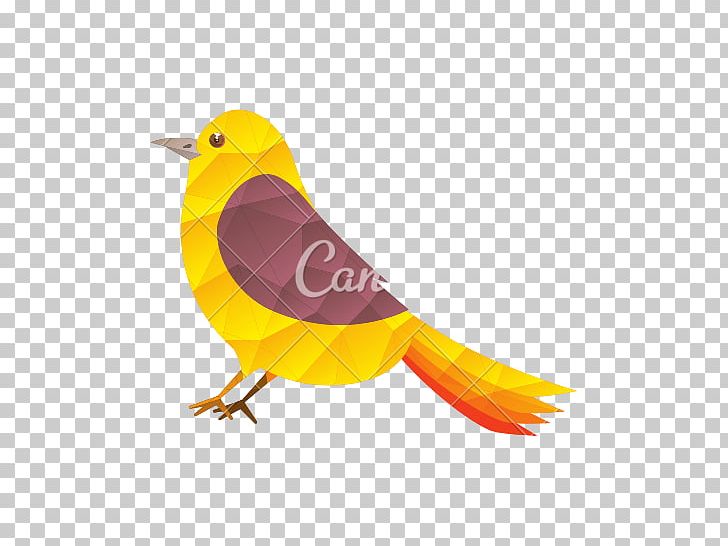 Bird Domestic Canary Computer Icons PNG, Clipart, Animal, Animals, Beak, Bird, Computer Icons Free PNG Download