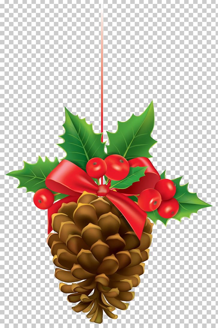 Christmas Decoration Christmas Ornament Conifer Cone Pine PNG, Clipart, Christmas, Christmas Decoration, Christmas Lights, Christmas Ornament, Christmas Tree Free PNG Download
