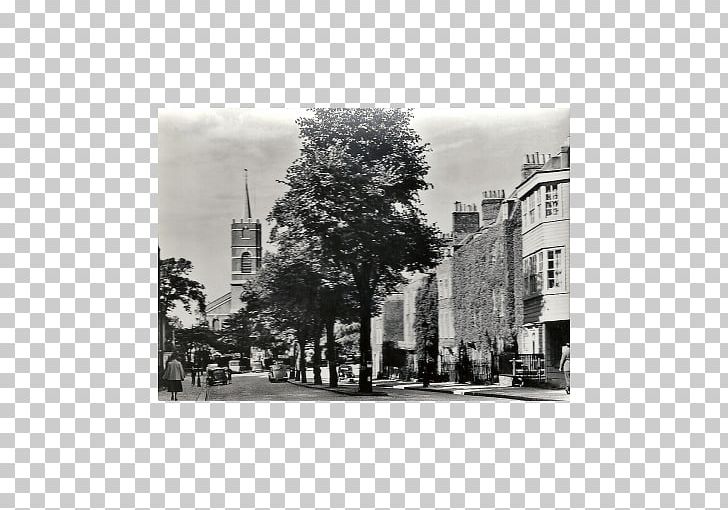 Facade Tree White PNG, Clipart, Black And White, Facade, Hampstead Heath, History, Monochrome Free PNG Download