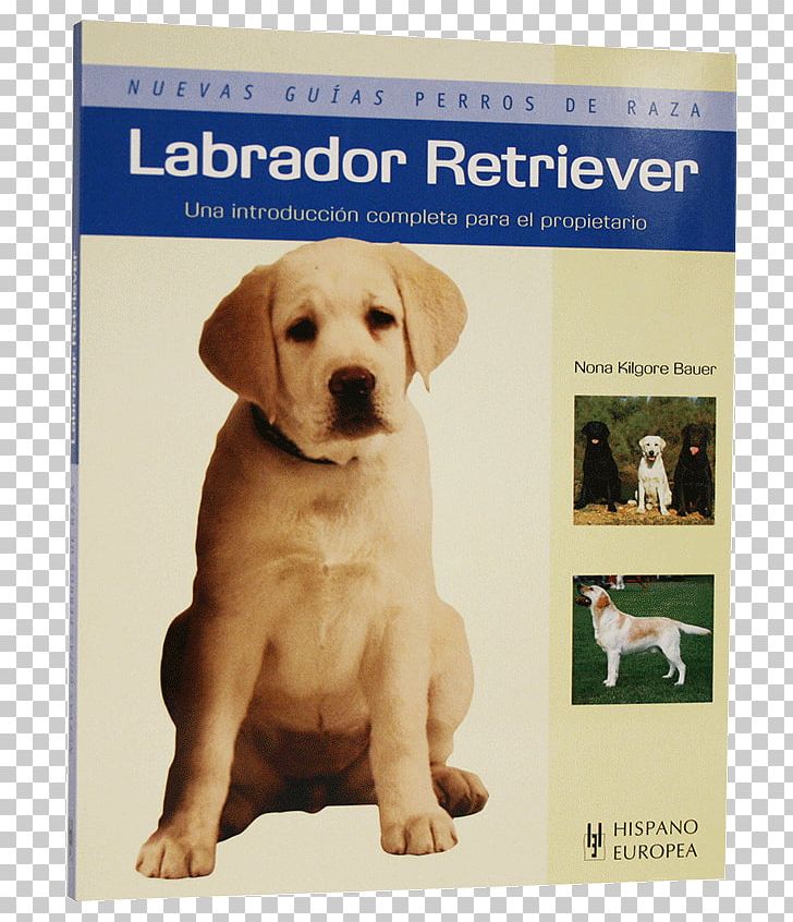 Labrador Retriever Puppy Dog Breed Companion Dog PNG, Clipart, Book, Breed, Carnivoran, Companion Dog, Crossbreed Free PNG Download