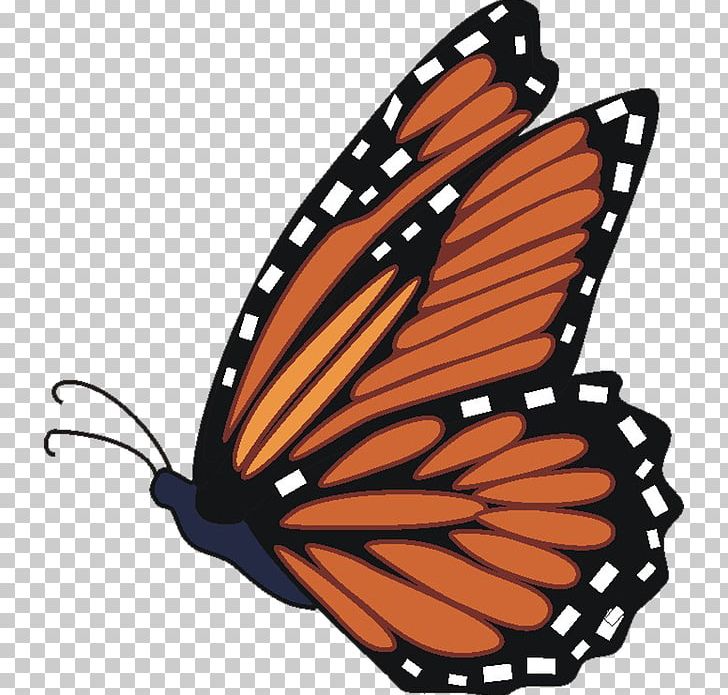 Monarch Butterfly Insect Brush-footed Butterflies PNG, Clipart, Art, Arthropod, Brush Footed Butterfly, Butterfly, Download Free PNG Download