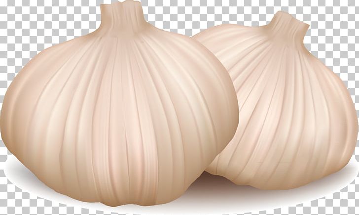 Onion PNG, Clipart, Decoration Design, Encapsulated Postscript, Garlic, Green Onion, Happy Birthday Vector Images Free PNG Download