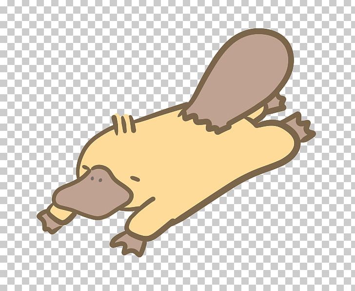 Platypus Canidae Microsoft Office 365 もこもこもこ Child PNG, Clipart, Beak, Bear, Caccola, Canidae, Carnivoran Free PNG Download