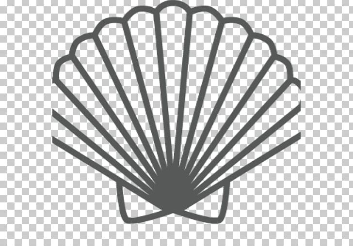 Seashell PNG, Clipart, Angle, Animals, Black And White, Computer Icons, Drawing Free PNG Download